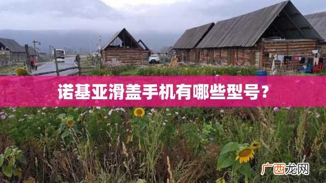 诺基亚滑盖手机有哪些型号？