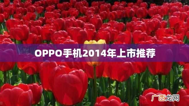 OPPO手机2014年上市推荐