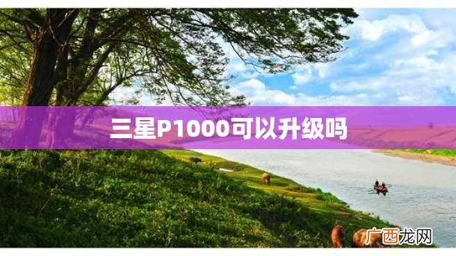 三星P1000可以升级吗