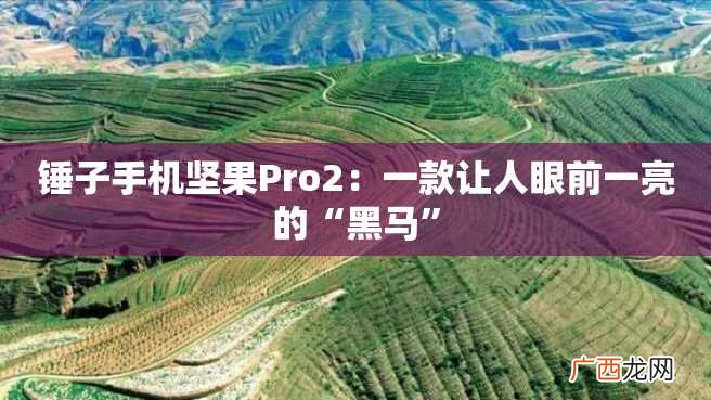 锤子手机坚果Pro2：一款让人眼前一亮的“黑马”