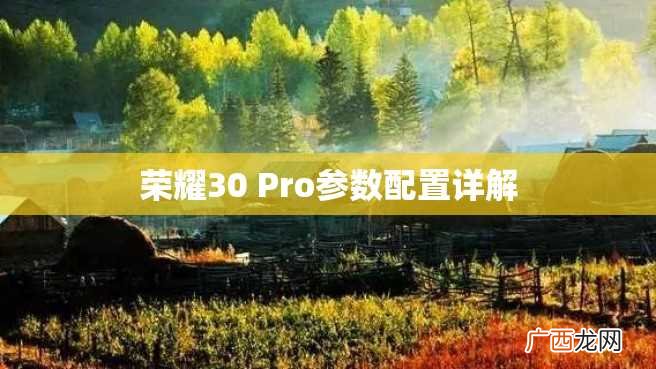 荣耀30 Pro参数配置详解