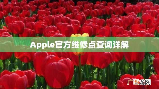 Apple官方维修点查询详解