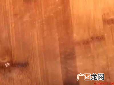 木板发霉变黑怎么恢复
