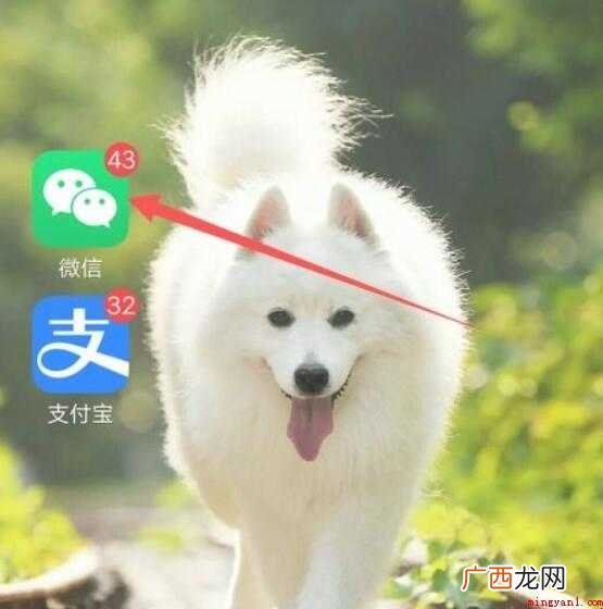 极兔快递单号如何查询