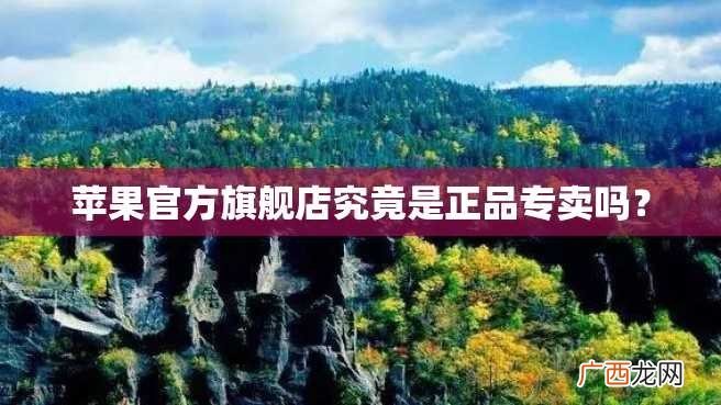苹果官方旗舰店究竟是正品专卖吗？