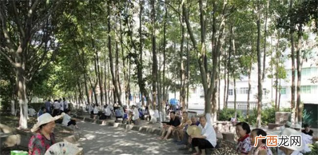 夏至有什么风俗和讲究 夏至节的风俗吃什么