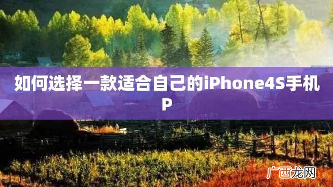 如何选择一款适合自己的iPhone4S手机P