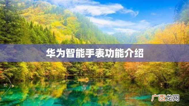 华为智能手表功能介绍