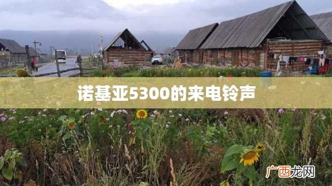 诺基亚5300的来电铃声