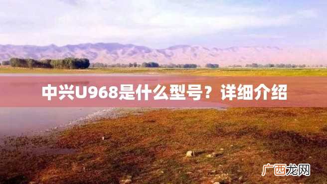 中兴U968是什么型号？详细介绍