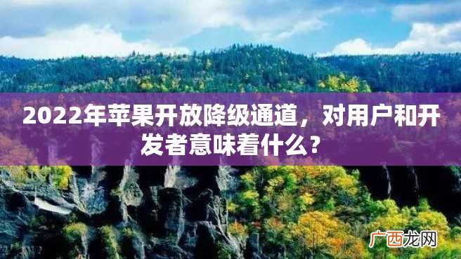 2022年苹果开放降级通道，对用户和开发者意味着什么？