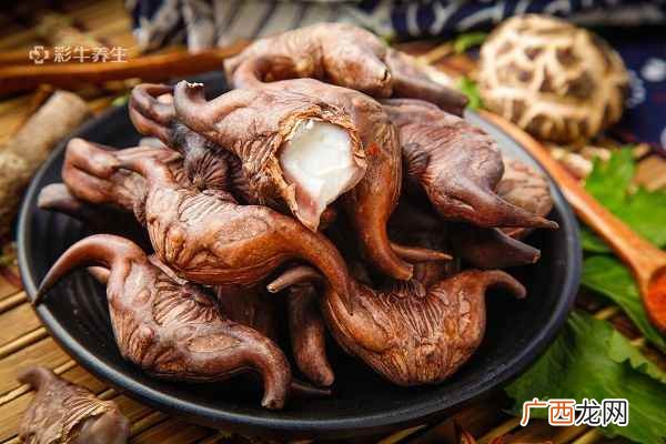 菱角的功效与作用及食用方法