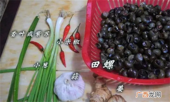炒螺10人做9人错学会这种做法身边的朋友都能大饱口福