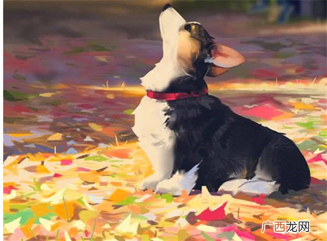 小满之后 哪些生肖要走好运了