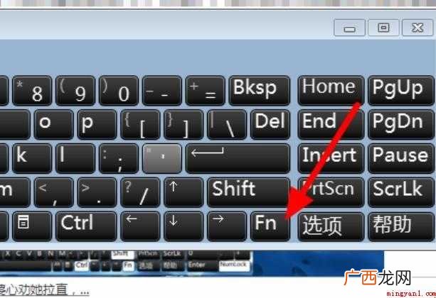 键盘f1到f12不能用怎么解决