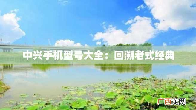 中兴手机型号大全:回溯老式经典