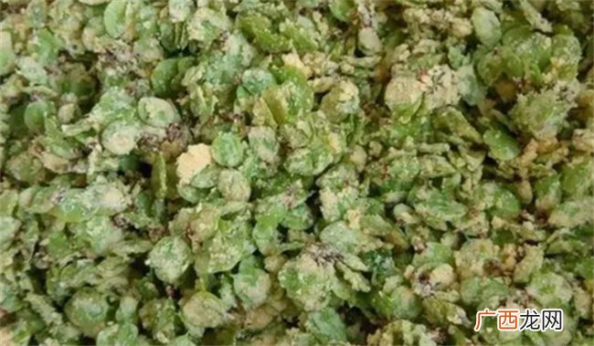 榆钱不知道怎么做好吃的话 就试试这5种做法吧 简单美味又好吃