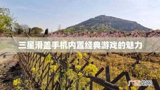 三星滑盖手机内置经典游戏的魅力