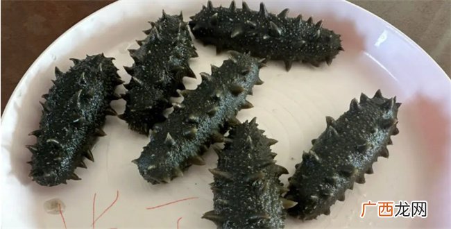 海参的泡发过程和注意事项 海参怎么泡发海参正确方法