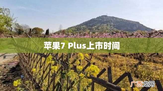 苹果7 Plus上市时间