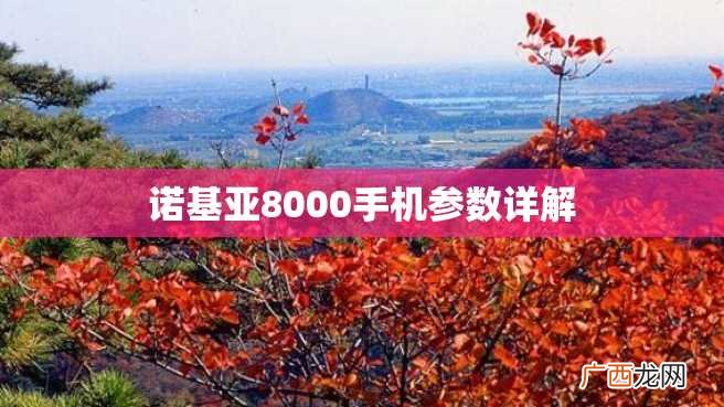 诺基亚8000手机参数详解