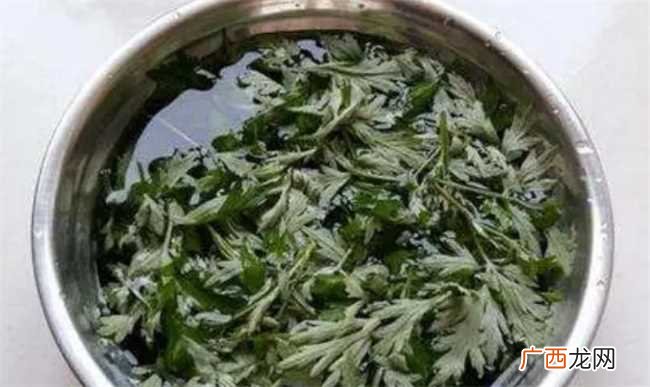 艾草可以用来洗眼睛吗