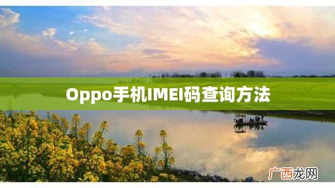 Oppo手机IMEI码查询方法