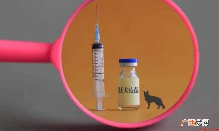 孕妇打狂犬病疫苗是否对胎儿有影响 孕妇打狂犬病疫苗对胎儿有影响吗