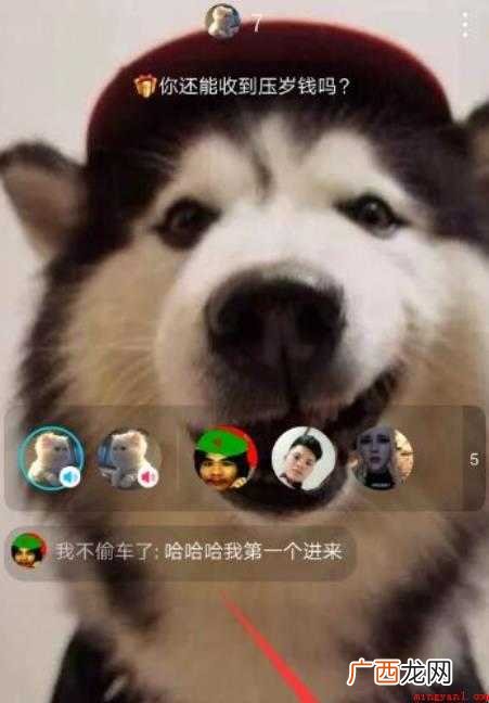 陌陌可以语音聊天也可以打字聊天 陌陌怎么聊天