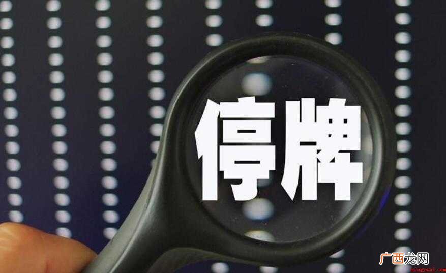 股票停牌期间关注哪些