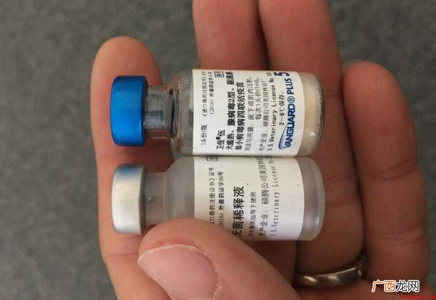 五联疫苗有效期多久