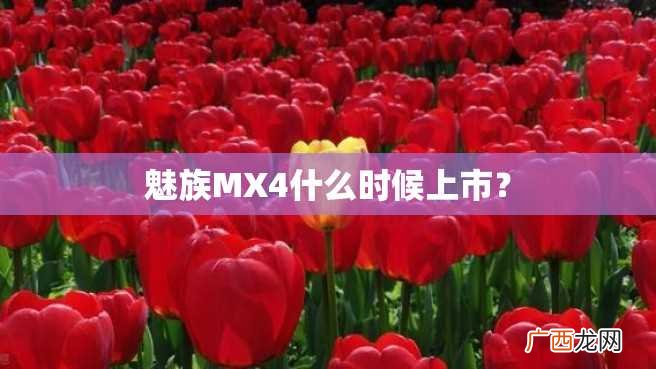 魅族MX4什么时候上市？