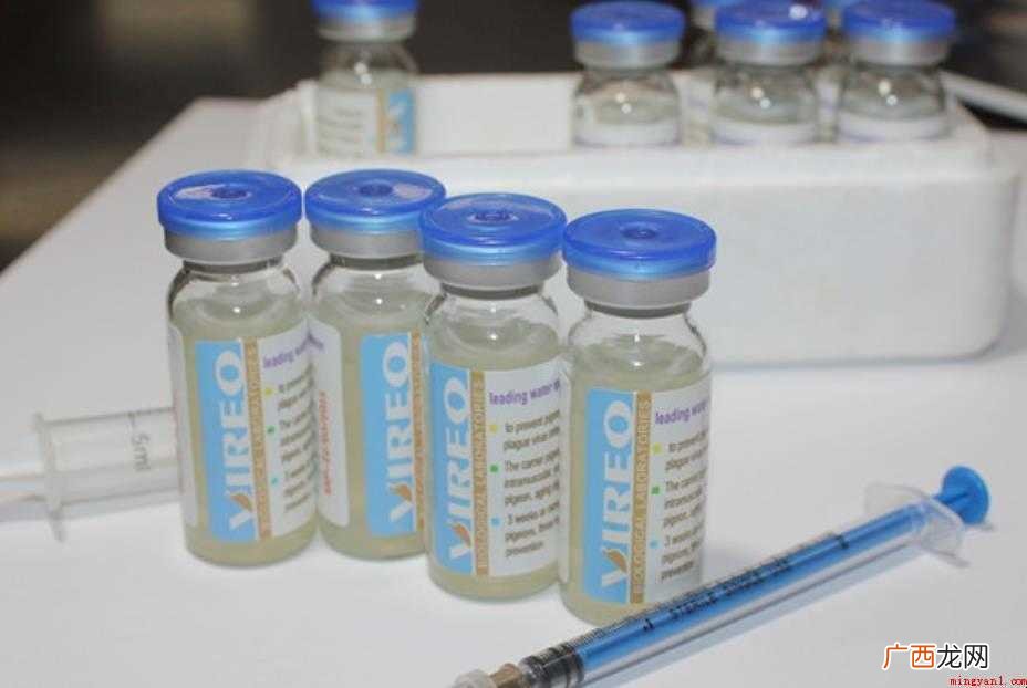 疫苗灭活苗和弱毒苗有什么区别