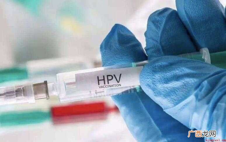 九价hpv疫苗是什么