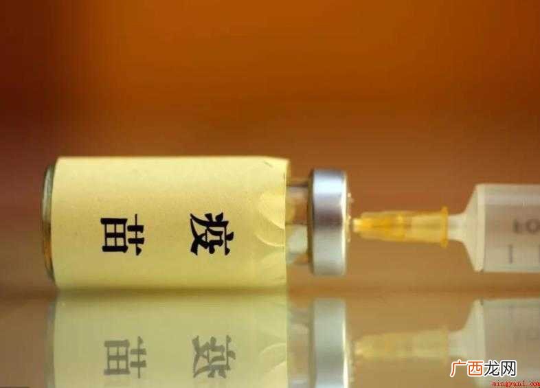 两个月脊灰疫苗多少钱