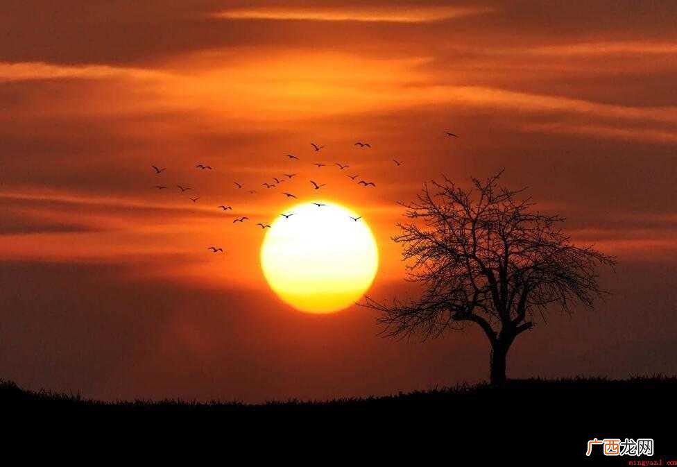 无聊的时候拿起油画棒在家也能看着夕阳西下,作出一幅无与伦比的