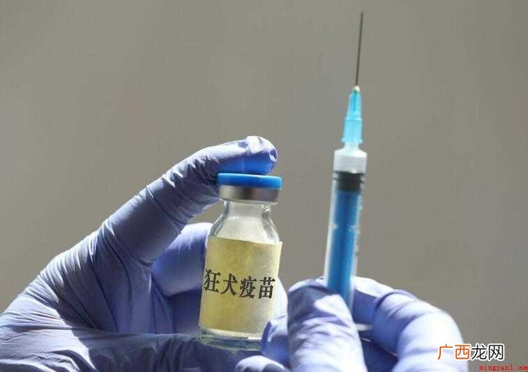 小孩4岁疫苗是什么内容 小孩4岁疫苗是什么