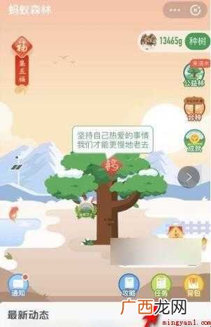 蚂蚁森林怎么获得能量保护罩