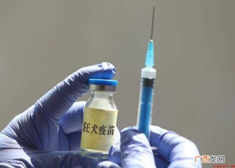 打狂犬疫苗对身体有害吗