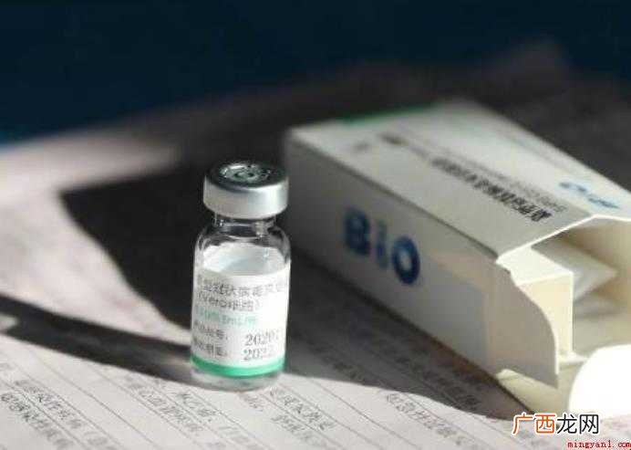 小反刍疫苗接种有什么注意事项