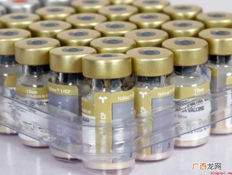 进口儿童疫苗有哪些
