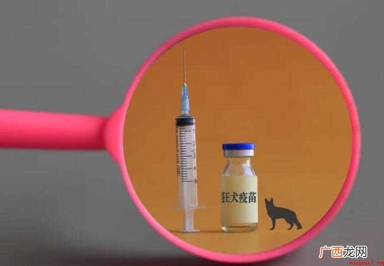 上海打狂犬疫苗的地方在哪里