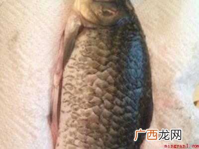 鱼汤怎么做好喝又营养做法