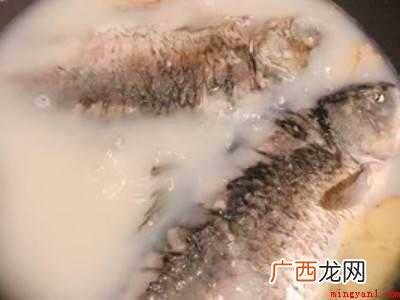 鱼汤怎么做好喝又营养做法