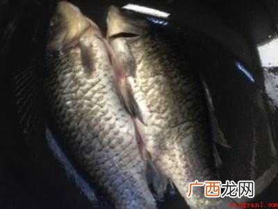 鱼汤怎么做好喝又营养做法