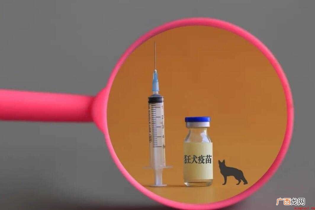 医院能不能打狂犬疫苗