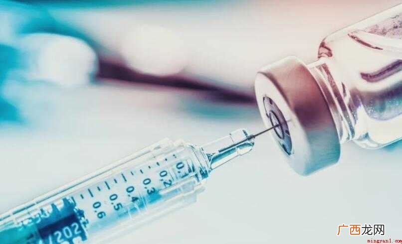 比熊打疫苗注意事项有哪些