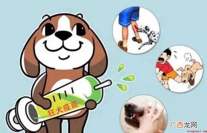 狂犬疫苗对小孩的危害有哪些