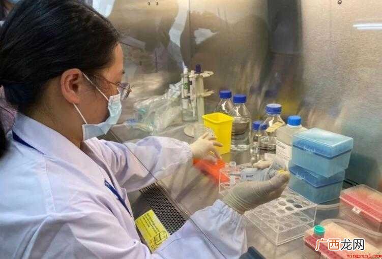 新冠核酸试剂检测多久出结果