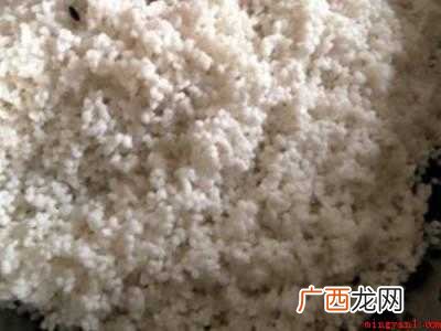黑米包粽子怎么做好吃
